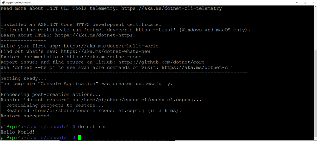 Run the Hello World Console Application